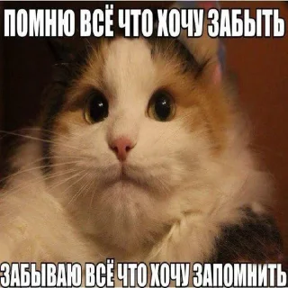 😐