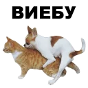 👈