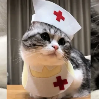 👩‍⚕