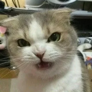 🤯