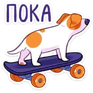 🛹