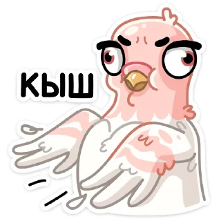 👉