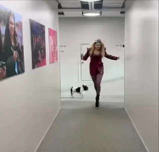 🤩
