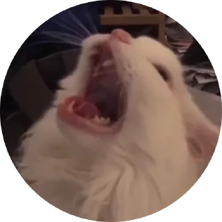 😱