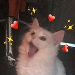 💕