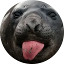 😜