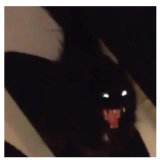 👹