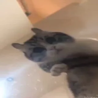 🤨