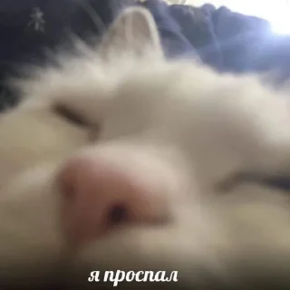🙄