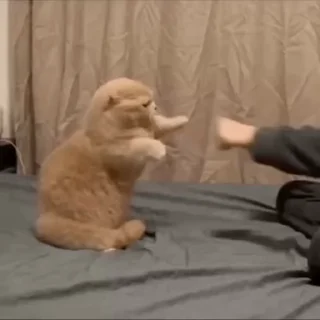 🤛
