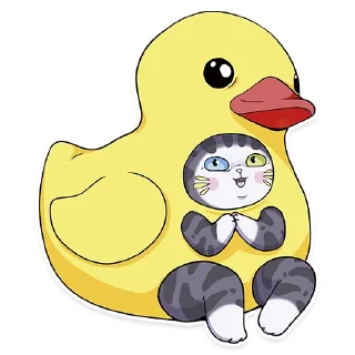 🐥