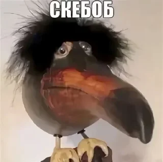🤩
