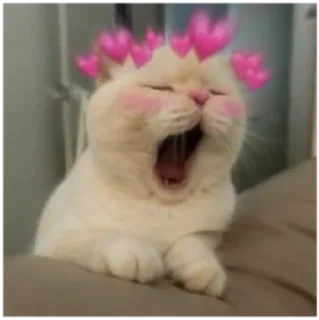 🥱