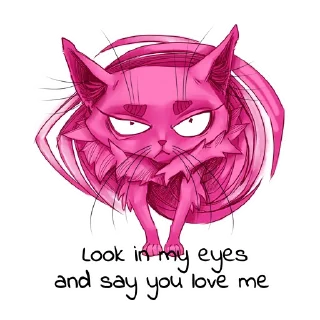 😼