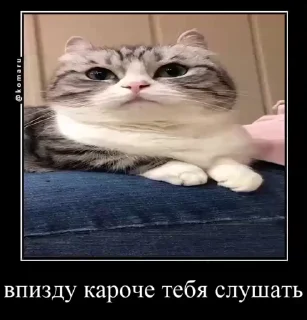 😂