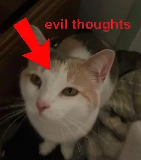 😈