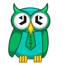 Lewk Owl