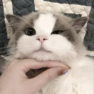 🥺