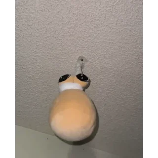 💩