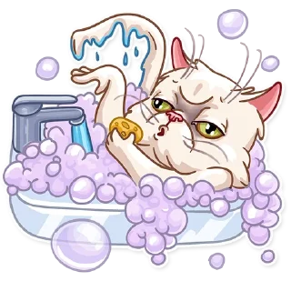 🛁