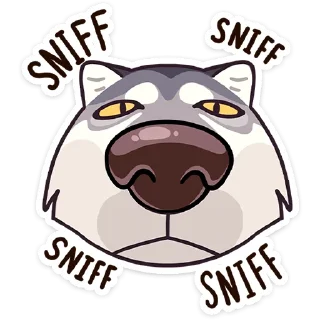 🐽