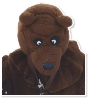 🐻