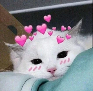 💖