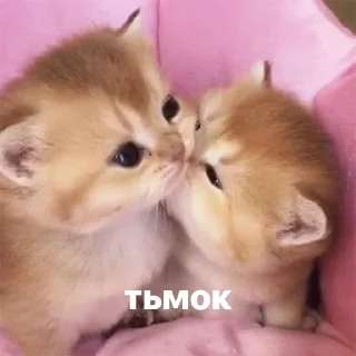 💋