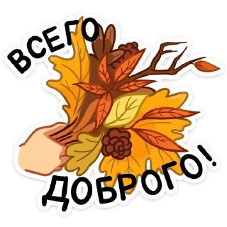 🍂
