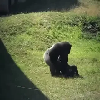 👿