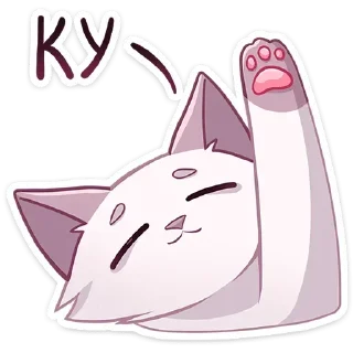 ✋
