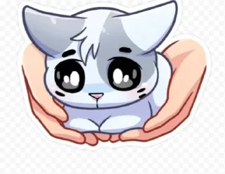 🤩