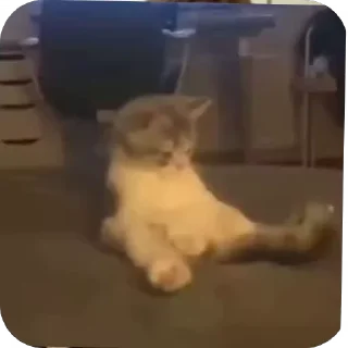 ✋