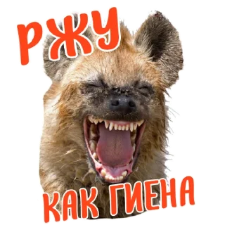 👍