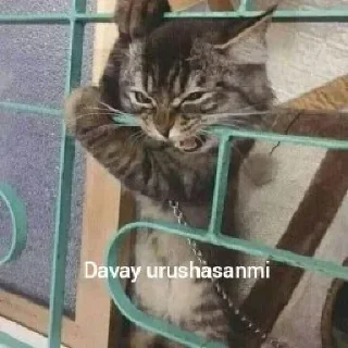 👊