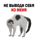 😂