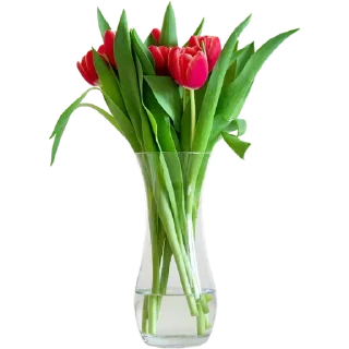💐
