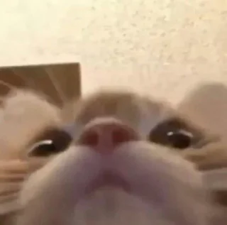 😳