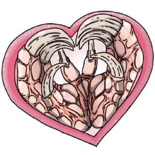 ❤️