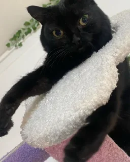 😠