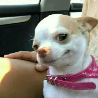👍