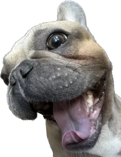 😝