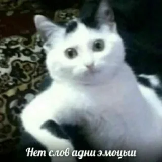 🤔
