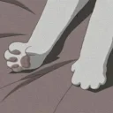 🐱