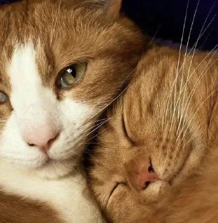 🥰