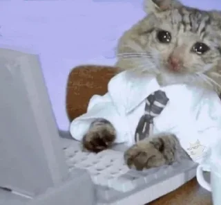 😢