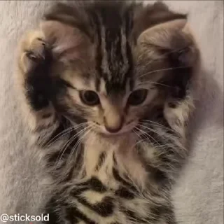 ❤️