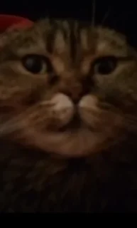 😐