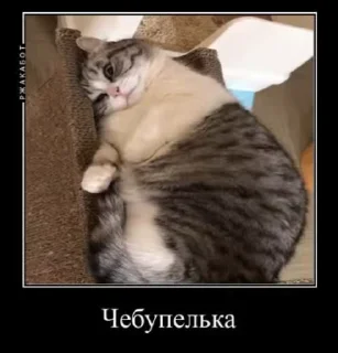 😜