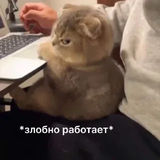 🤨